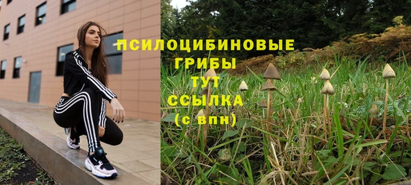 прущие грибы Наволоки