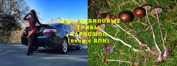 Альфа ПВП Надым