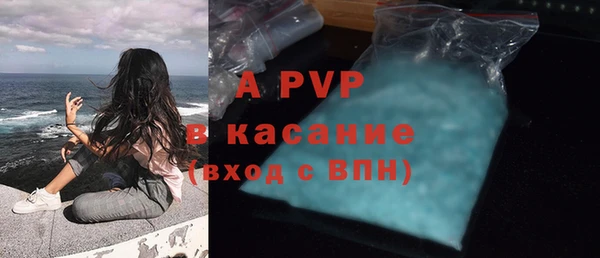 прущие грибы Навашино
