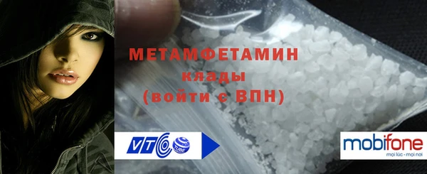 прущие грибы Наволоки