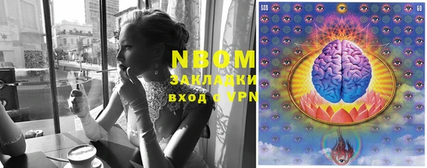 прущие грибы Навашино