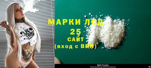 прущие грибы Наволоки