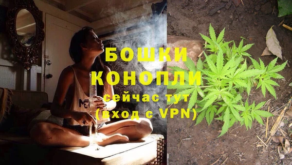 прущие грибы Навашино