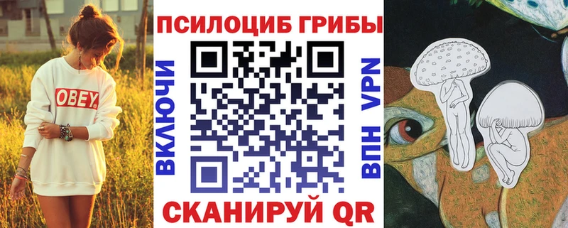 omg ТОР  как найти закладки  Симферополь  Псилоцибиновые грибы Psilocybe 
