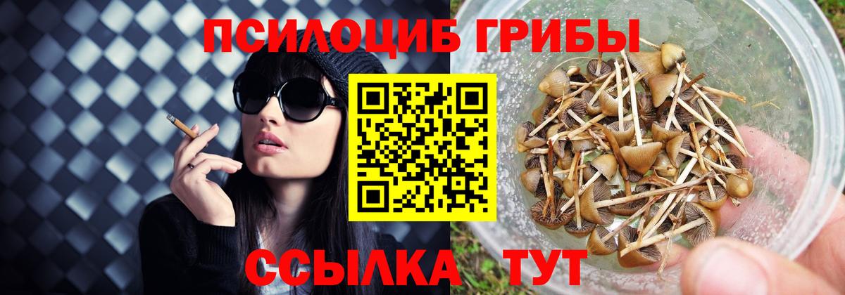 цена   Вход с VPN  Симферополь  Галлюциногенные грибы прущие грибы 