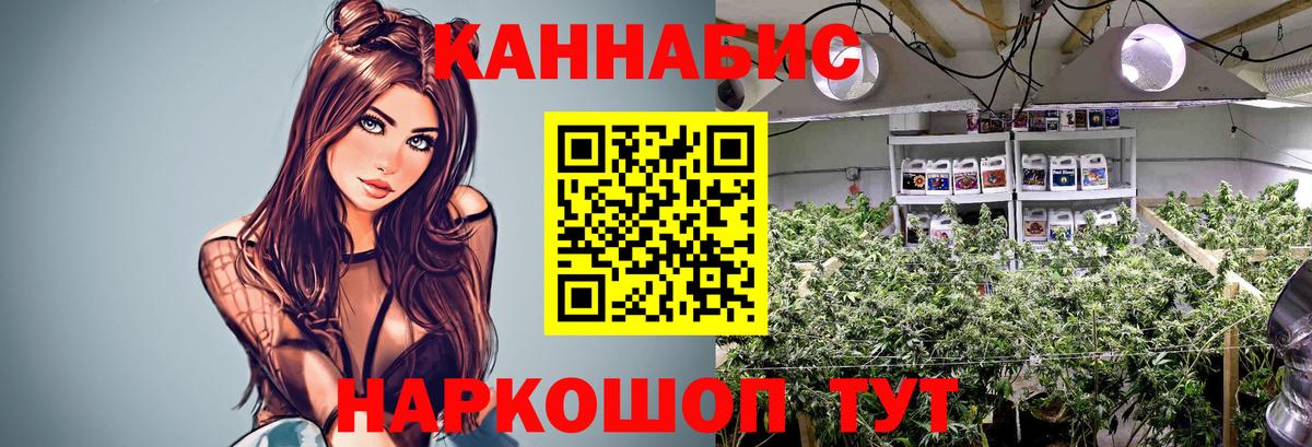 Конопля VHQ  Бошки марихуана ГИДРОПОН  Бошки Шишки индика  Вход с VPN  Конопля MAZAR  Симферополь 
