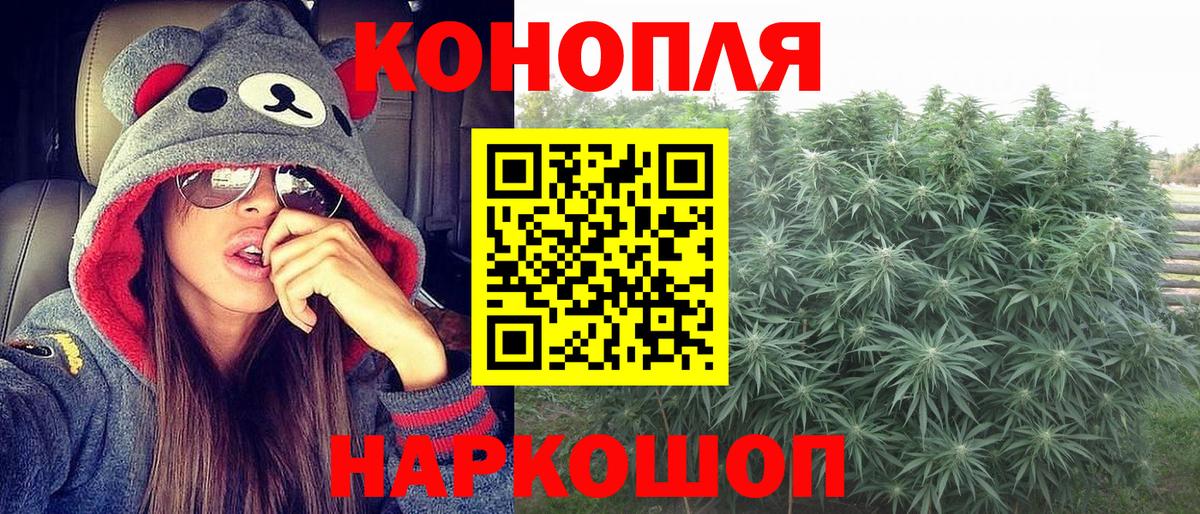 Каннабис OG Kush  Конопля ГИДРОПОН  Симферополь  Канабис ГИДРОПОН 